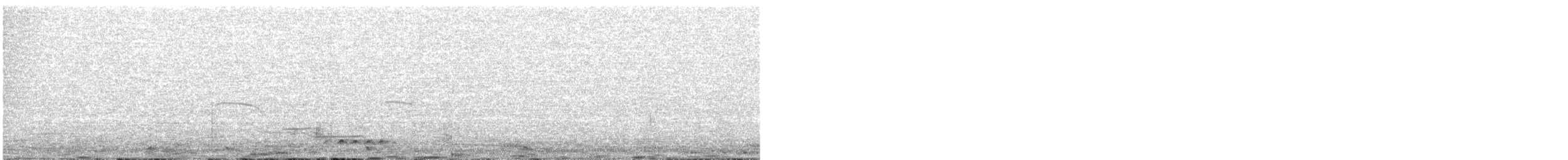Гагара полярна - ML191243301