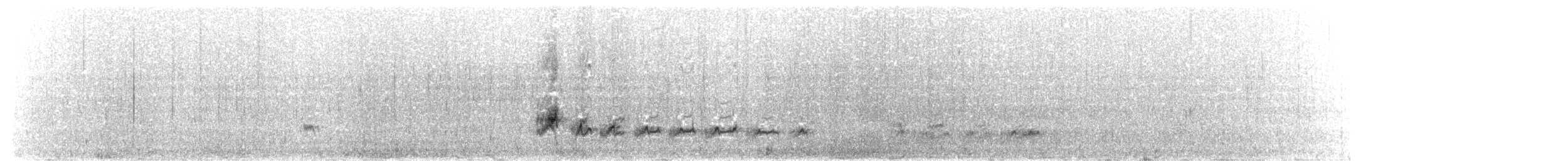 Beringstrandläufer (ptilocnemis) - ML191314081