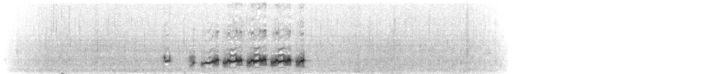 Beringstrandläufer (ptilocnemis) - ML191314851