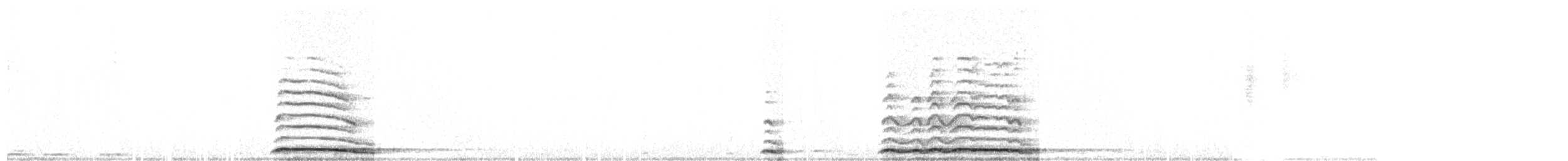 Сова сіра - ML191331041