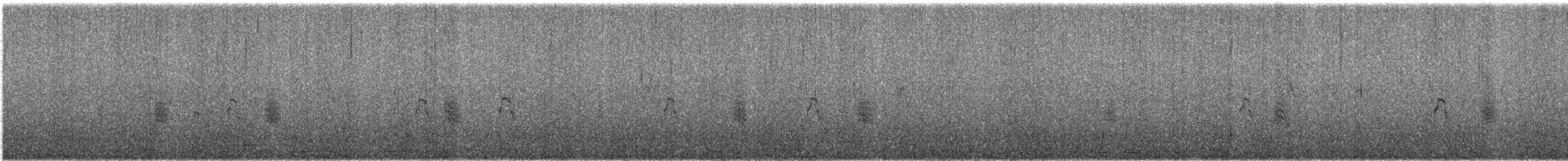 Torrent Duck - ML191365931