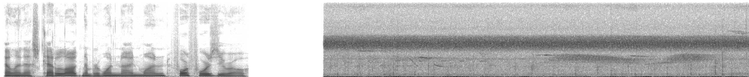 holub ametystový - ML191440