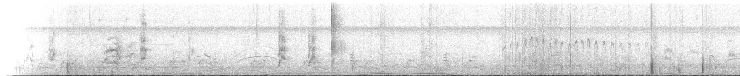 Blaze-winged Parakeet - ML191454281