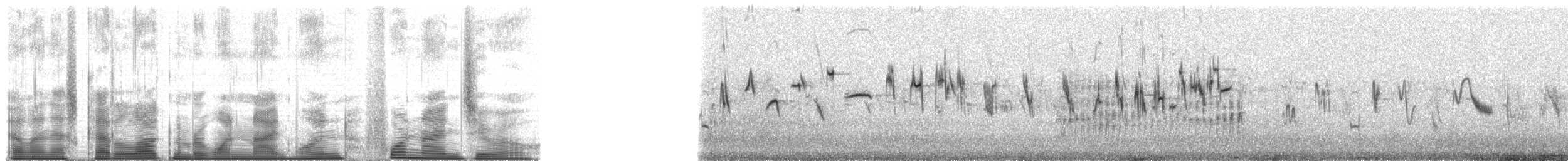 Hegatxabal adarduna - ML191490