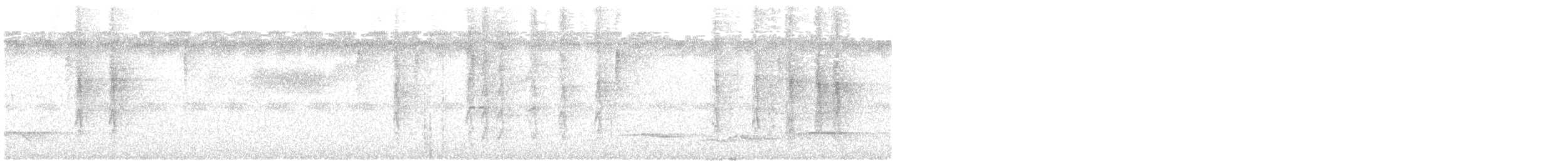 Dickschnabel-Spinnenjäger - ML191520821