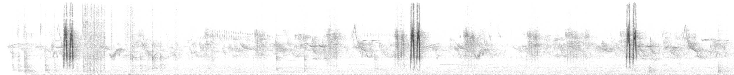 Белая трясогузка (baicalensis) - ML191526801