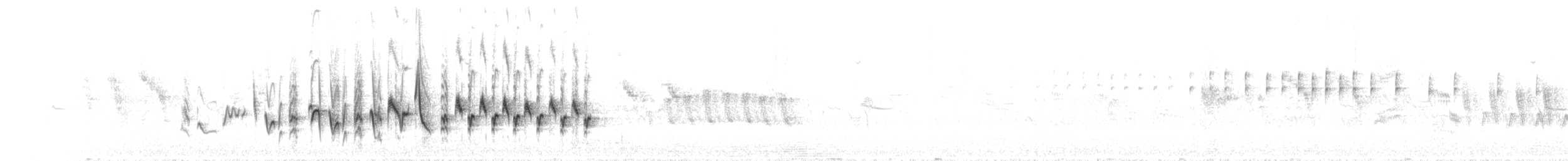 Славка-завирушка (curruca/blythi) - ML191526811