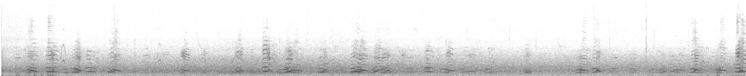 黃嘴天鵝 - ML191560231