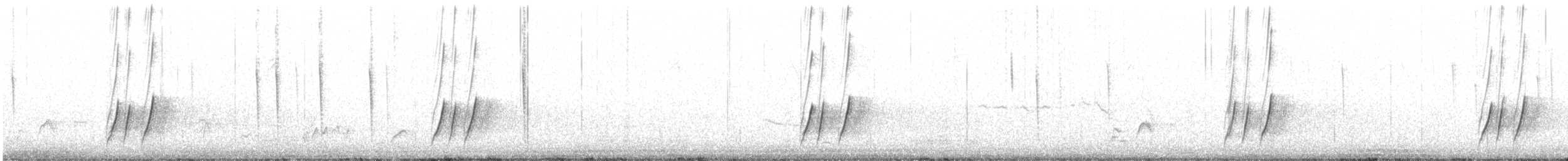 Curve-billed Thrasher (palmeri Group) - ML191577881