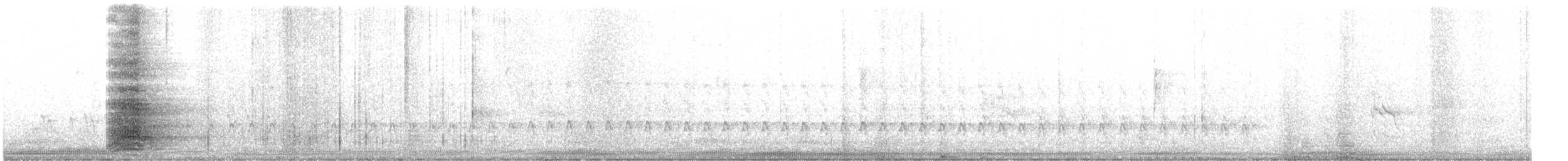 קיכלי נודד - ML191593131