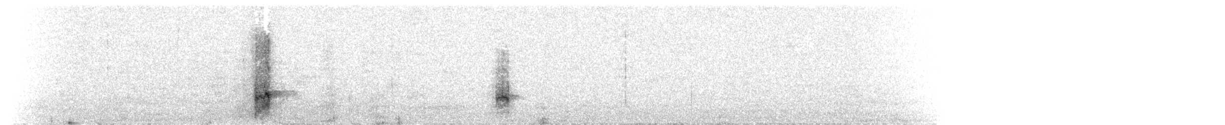 klippesnipe (ptilocnemis) - ML191627741