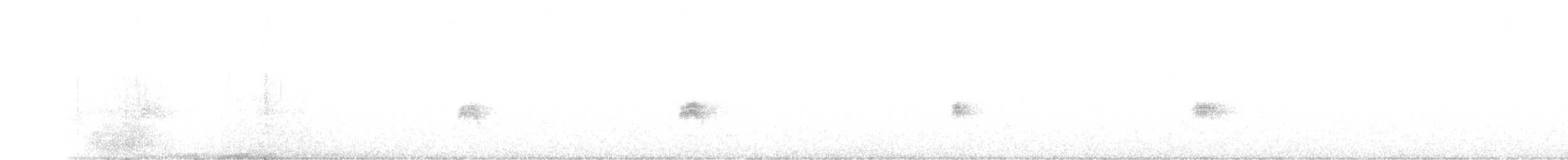 Каньонный крапивник - ML191647671