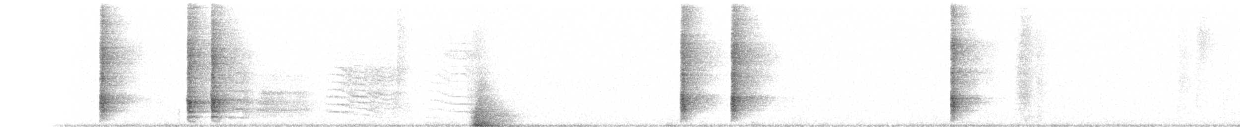 Гракл великохвостий - ML191659101