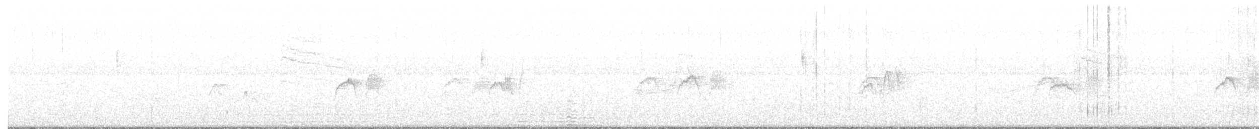 Paruline verdâtre - ML191664721