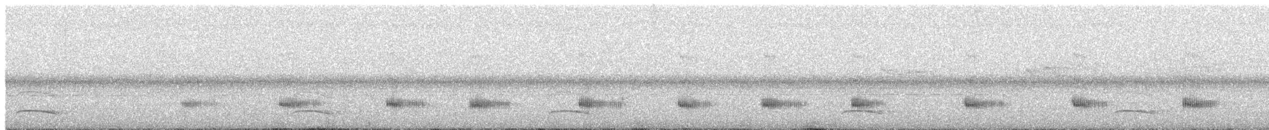 Kulaklı Küçük Tiran - ML191692991