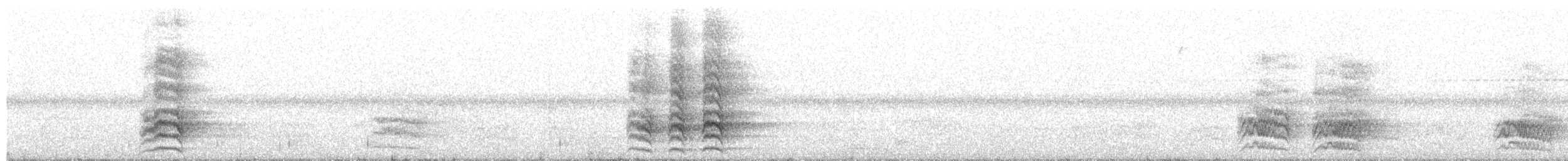 Guacamayo Maracaná - ML191693511