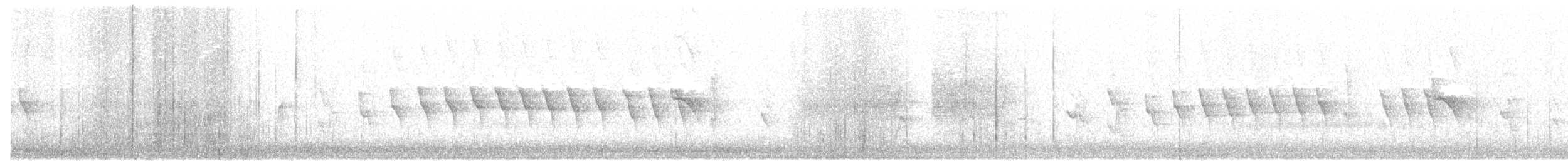 Tropfenflügel-Ameisenfänger - ML191786051