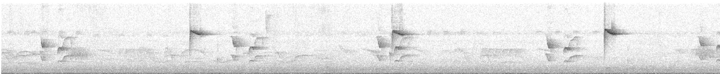 Paruline à paupières blanches - ML191819761