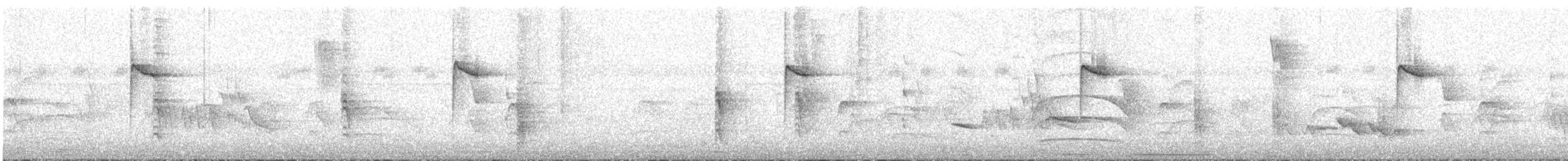 Paruline à paupières blanches - ML191819821