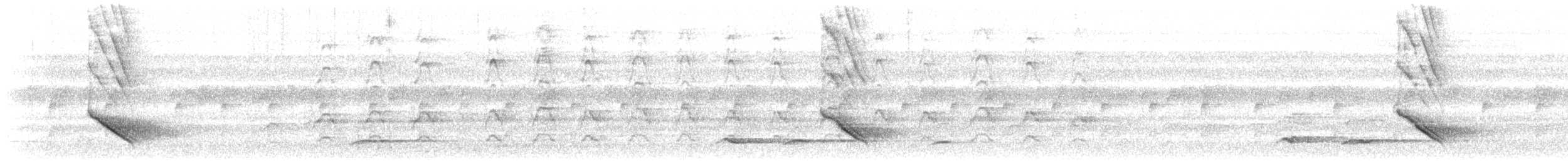 Chara de Cayena - ML191835081