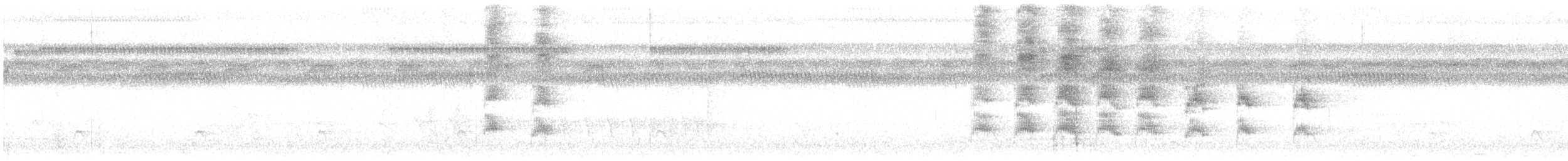 Schwarzschnabel-Pipratyrann - ML191836791