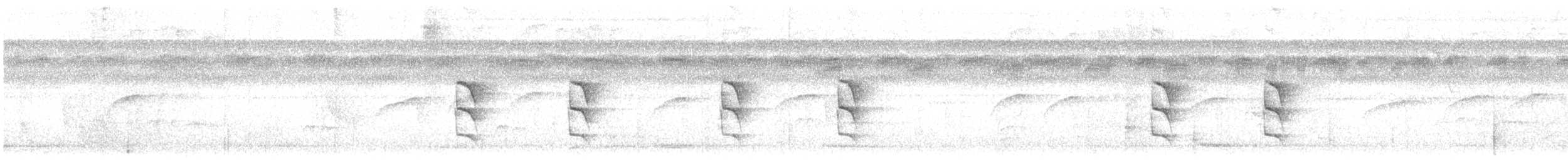 Weißflanken-Ameisenschlüpfer - ML191836821
