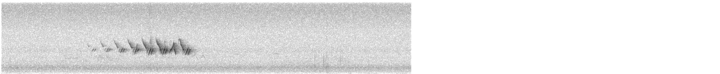 Пісняр-лісовик жовтогузий (підвид auduboni) - ML191839531