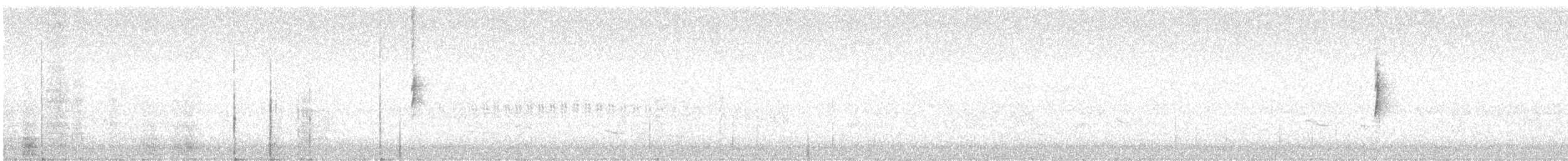 Пісняр-лісовик жовтогузий (підвид auduboni) - ML191840031