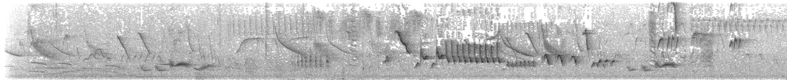 Пересмішник сивий - ML191848781