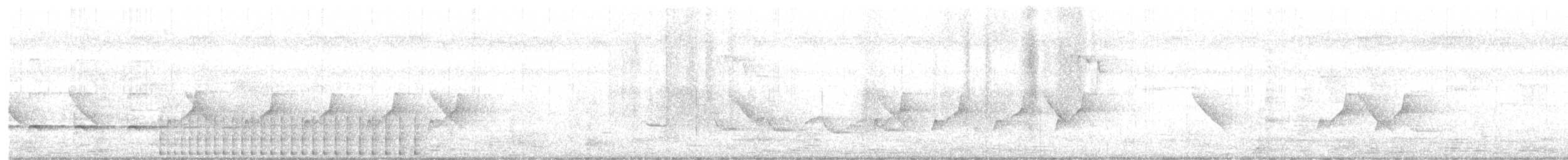 Bengalenspecht - ML191848941