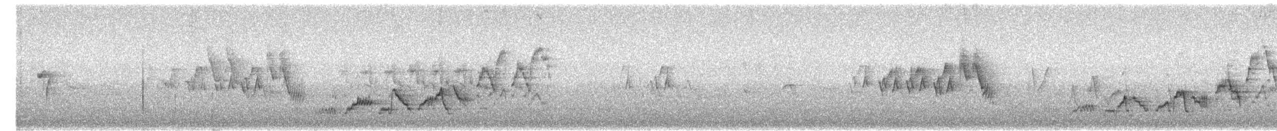 Дрізд-короткодзьоб Cвенсона - ML191865551