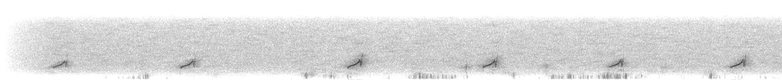 Тремблер пустельний (підвид lecontei/macmillanorum) - ML191896501