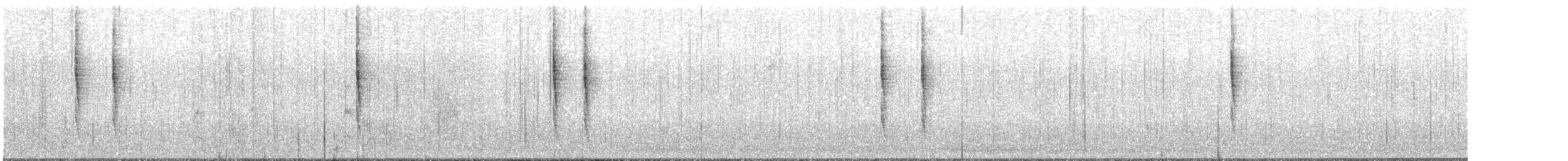 Troglodyte de Baird - ML191902141