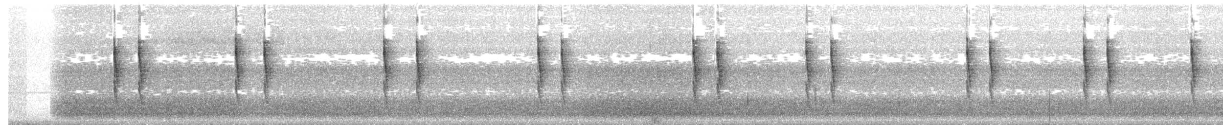 Troglodyte de Baird - ML191921541