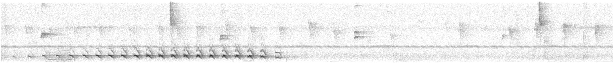 Синешапочный трогон - ML191952571