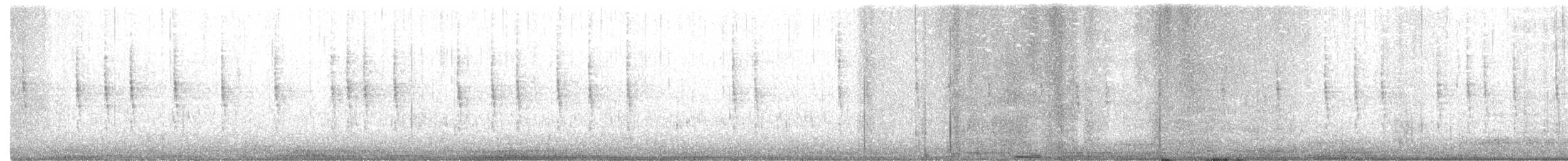Troglodyte des forêts - ML191953761