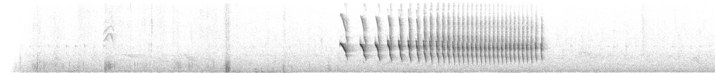 Koyu Kuyruklu Karıncakuşu - ML191958071