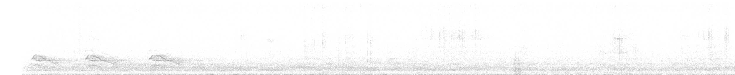 Red-shouldered Hawk - ML191969701