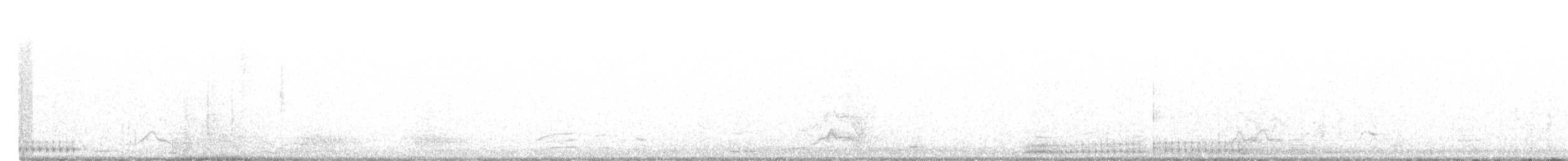 hvitbrystkråke - ML192028721