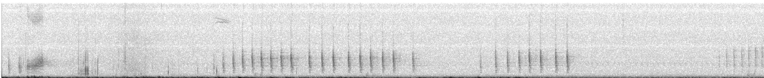 サボテンミソサザイ - ML192107021