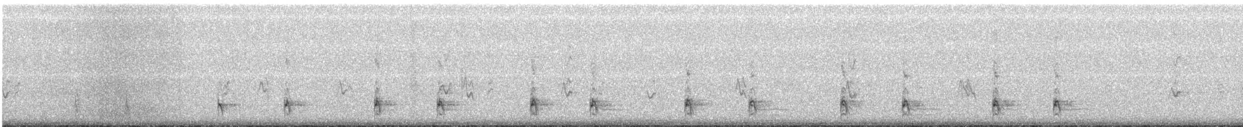 Pullu Kolin - ML192108731