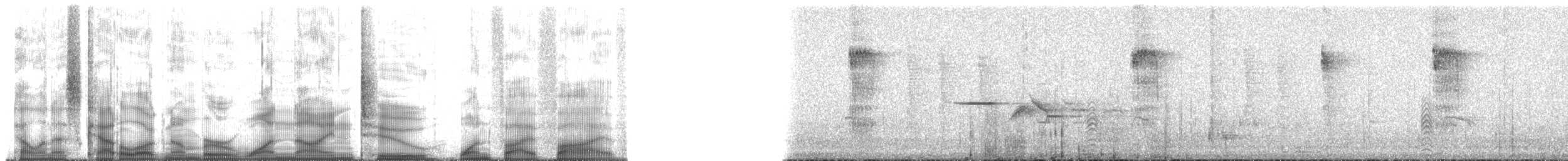 Pacific Wren (Pacific) - ML192155