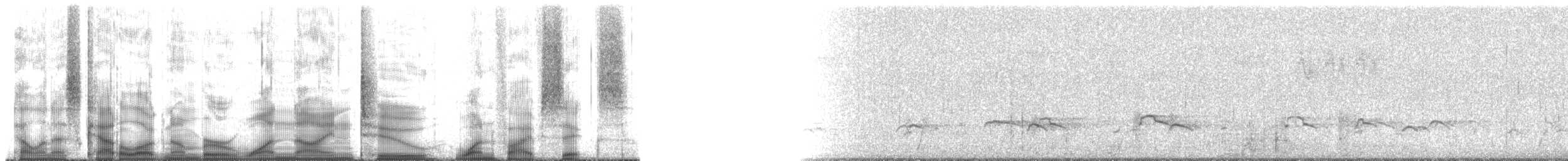 Humpback Whale - ML192156