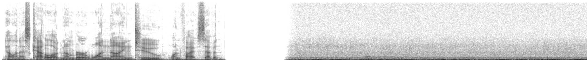 Gray Wolf - ML192157