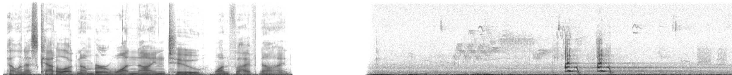 Common Raven - ML192159