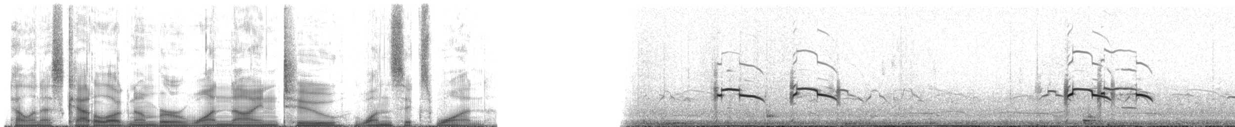 Marbled Murrelet - ML192161