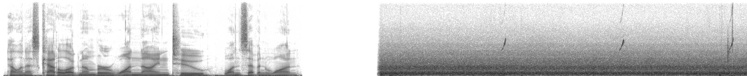 American Pipit - ML192171