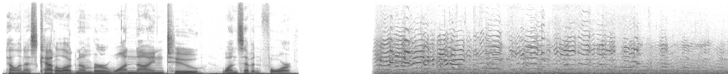 racek tříprstý (ssp. pollicaris) - ML192174