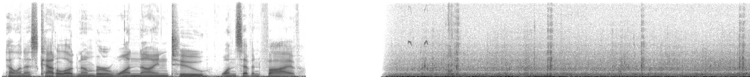 orel bělohlavý - ML192175