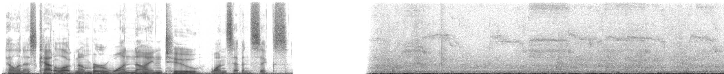 alkoun holubí - ML192176